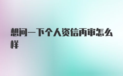 想问一下个人资信再审怎么样