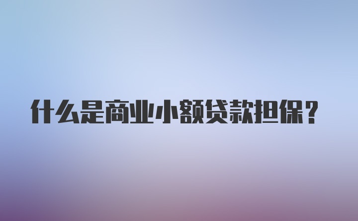 什么是商业小额贷款担保？