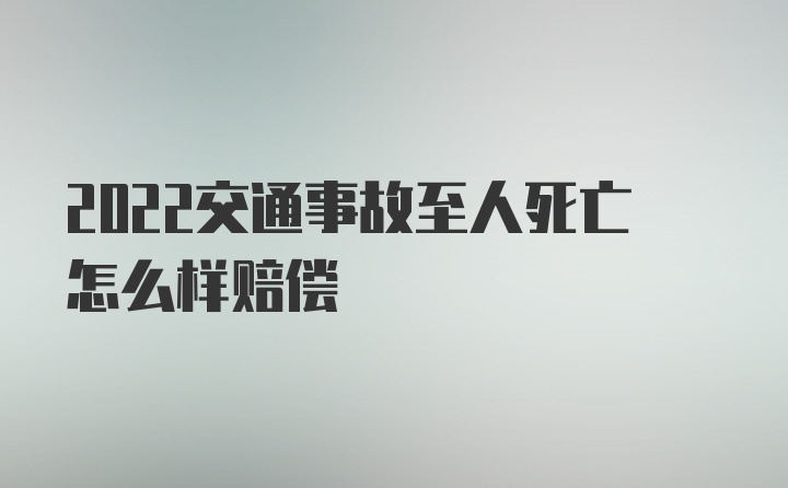 2022交通事故至人死亡怎么样赔偿