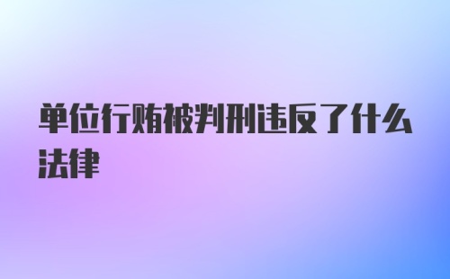 单位行贿被判刑违反了什么法律