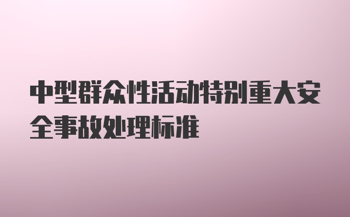 中型群众性活动特别重大安全事故处理标准