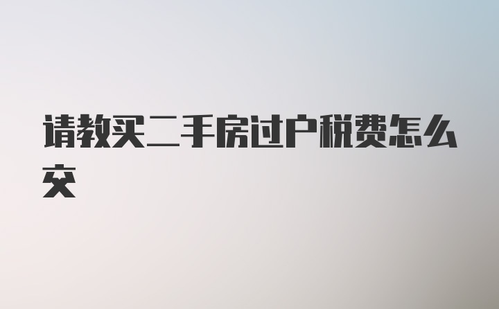 请教买二手房过户税费怎么交