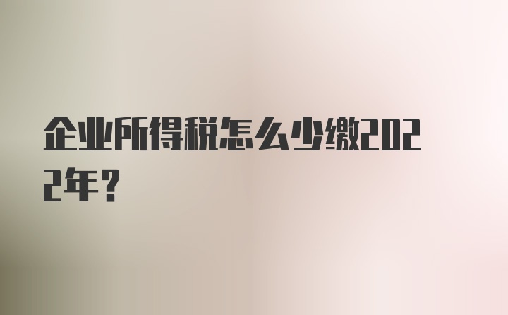 企业所得税怎么少缴2022年？