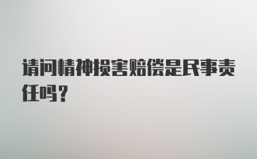 请问精神损害赔偿是民事责任吗?