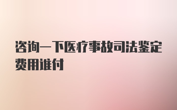 咨询一下医疗事故司法鉴定费用谁付