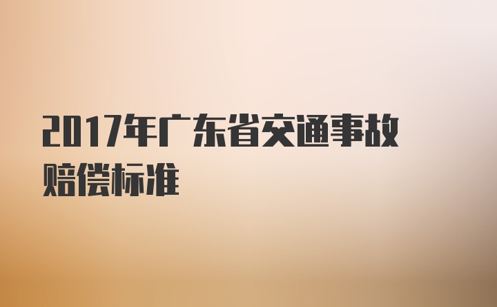 2017年广东省交通事故赔偿标准