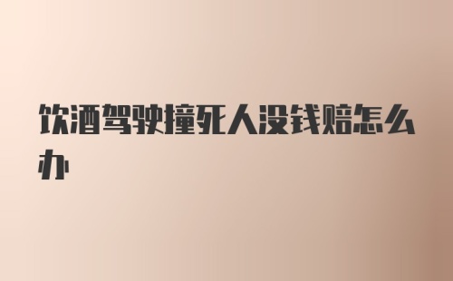 饮酒驾驶撞死人没钱赔怎么办