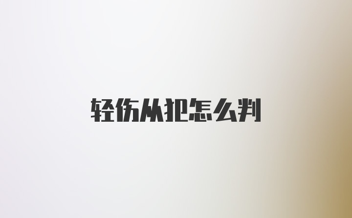 轻伤从犯怎么判