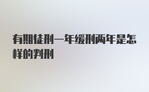 有期徒刑一年缓刑两年是怎样的判刑