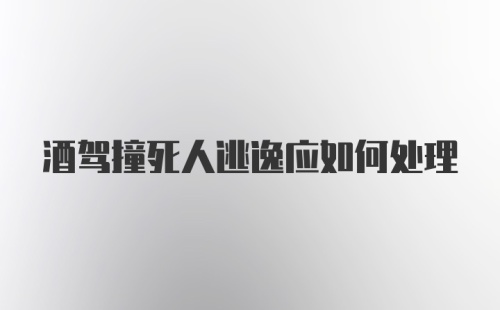 酒驾撞死人逃逸应如何处理