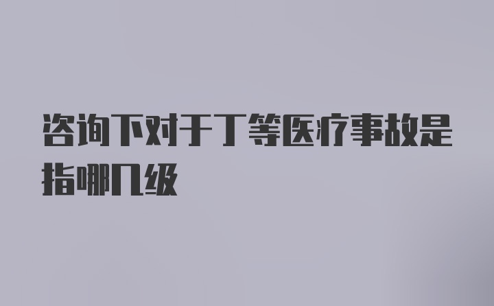 咨询下对于丁等医疗事故是指哪几级