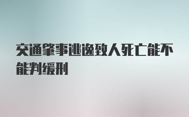 交通肇事逃逸致人死亡能不能判缓刑