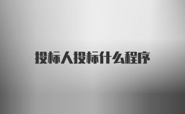 投标人投标什么程序