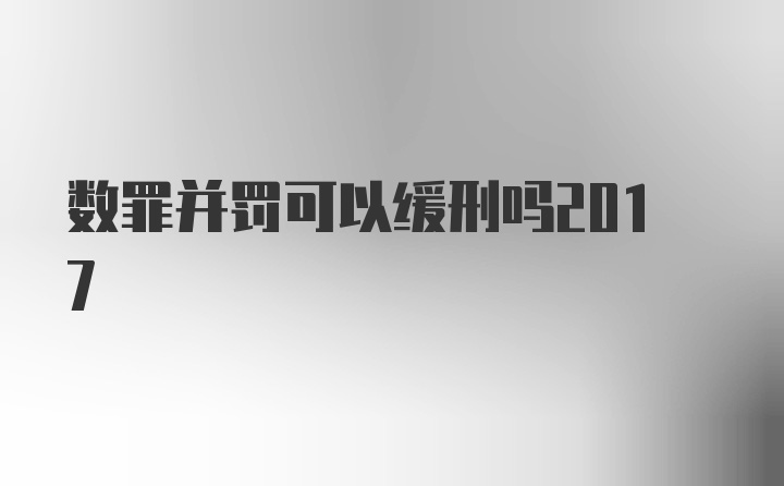 数罪并罚可以缓刑吗2017