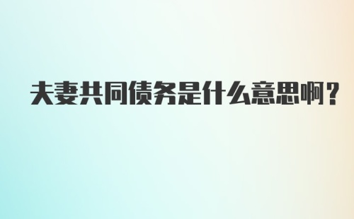 夫妻共同债务是什么意思啊？