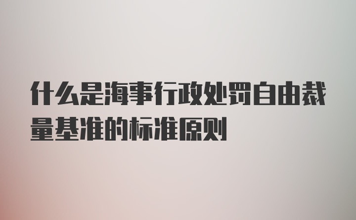 什么是海事行政处罚自由裁量基准的标准原则