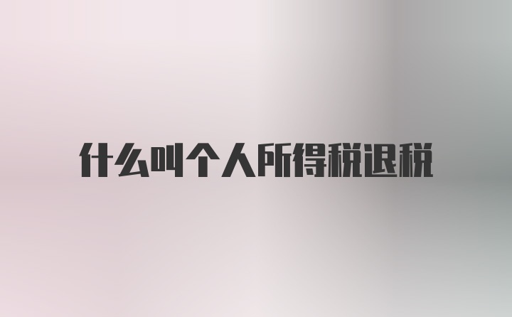 什么叫个人所得税退税