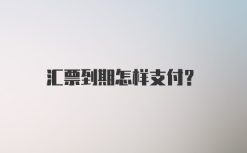 汇票到期怎样支付？