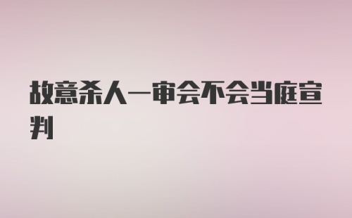 故意杀人一审会不会当庭宣判