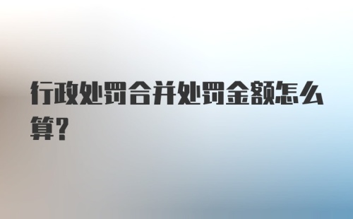 行政处罚合并处罚金额怎么算?