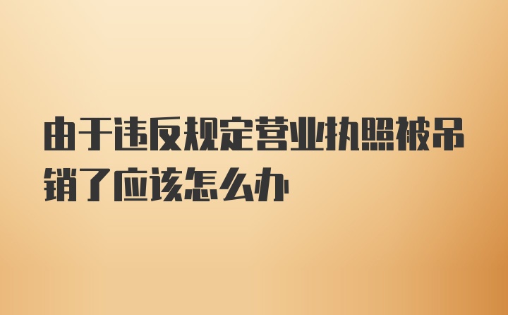 由于违反规定营业执照被吊销了应该怎么办