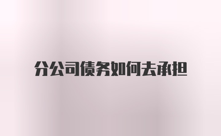 分公司债务如何去承担