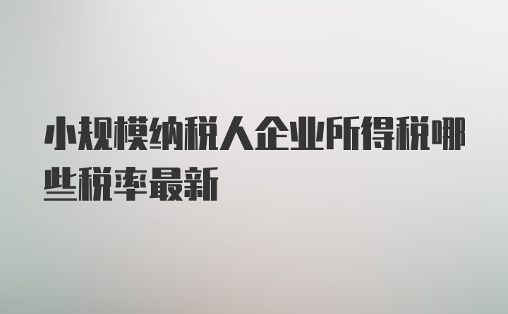 小规模纳税人企业所得税哪些税率最新