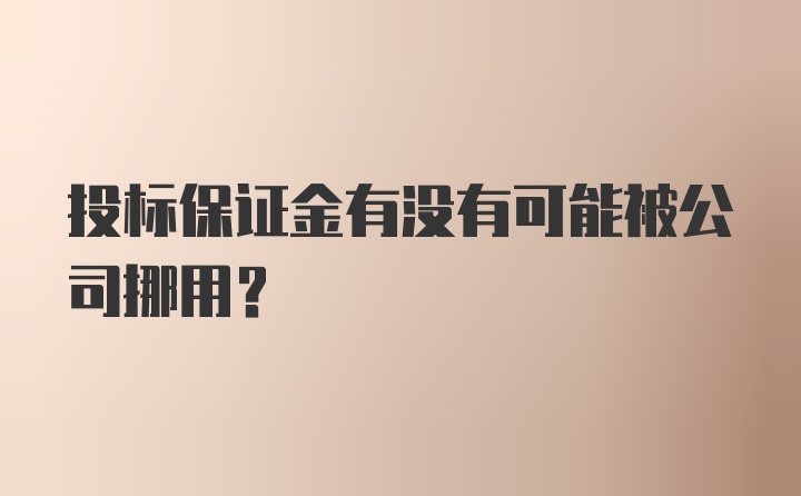 投标保证金有没有可能被公司挪用?