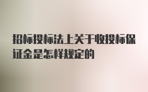 招标投标法上关于收投标保证金是怎样规定的