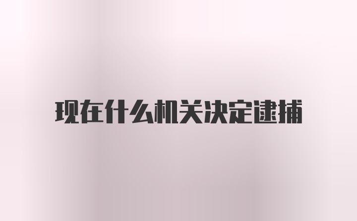 现在什么机关决定逮捕