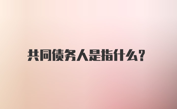 共同债务人是指什么？