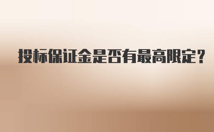 投标保证金是否有最高限定？