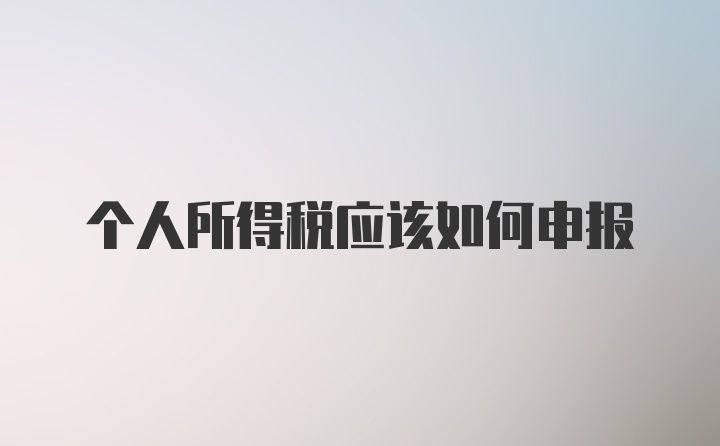 个人所得税应该如何申报