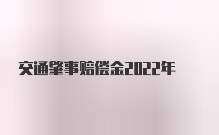 交通肇事赔偿金2022年