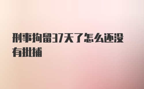 刑事拘留37天了怎么还没有批捕