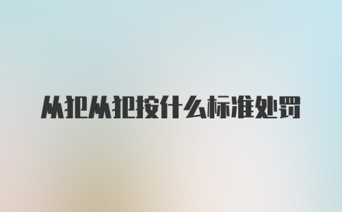 从犯从犯按什么标准处罚