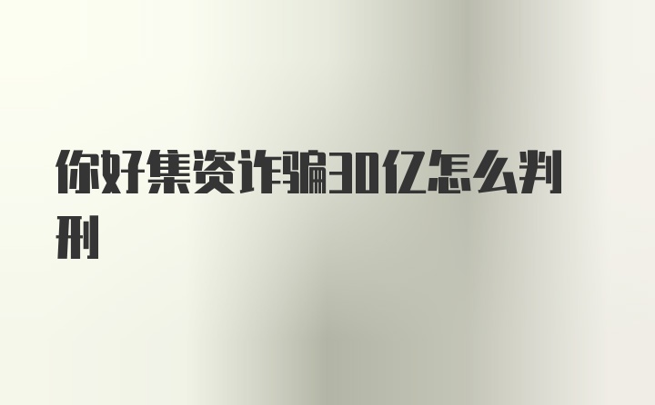 你好集资诈骗30亿怎么判刑