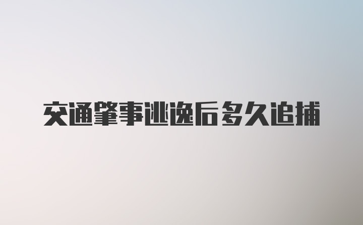 交通肇事逃逸后多久追捕