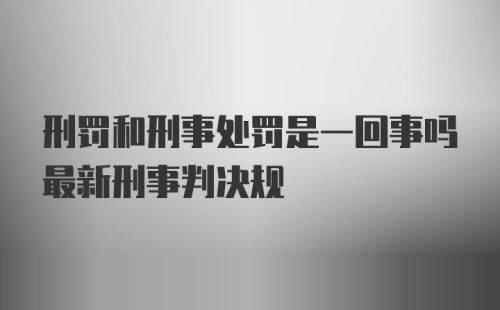 刑罚和刑事处罚是一回事吗最新刑事判决规