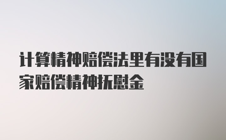 计算精神赔偿法里有没有国家赔偿精神抚慰金