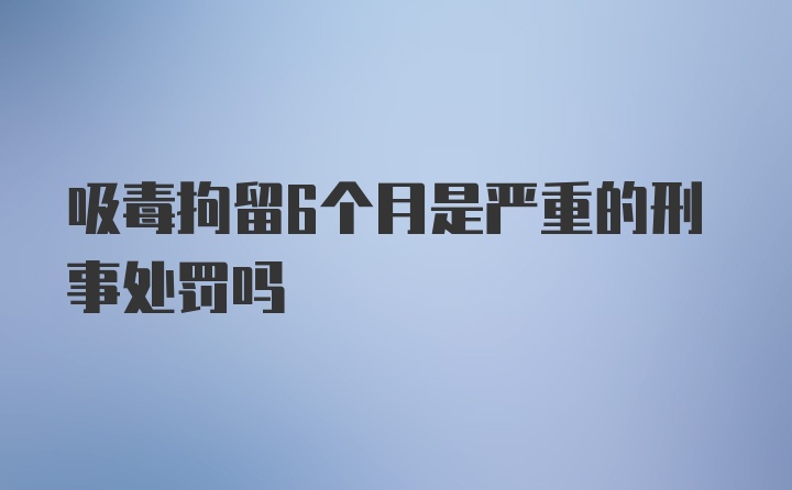 吸毒拘留6个月是严重的刑事处罚吗