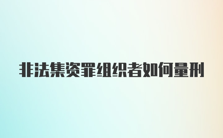 非法集资罪组织者如何量刑