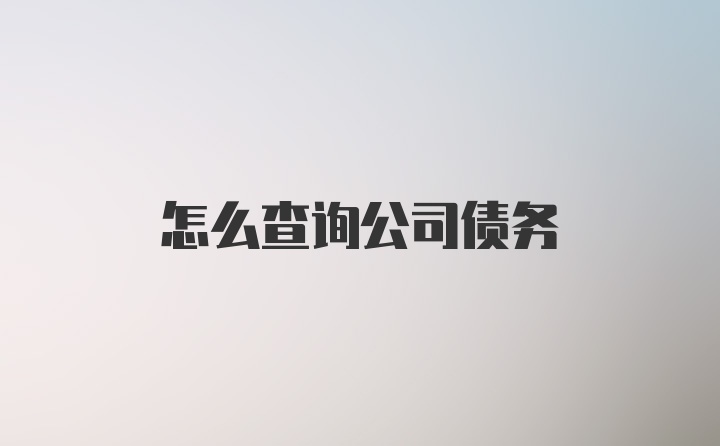 怎么查询公司债务