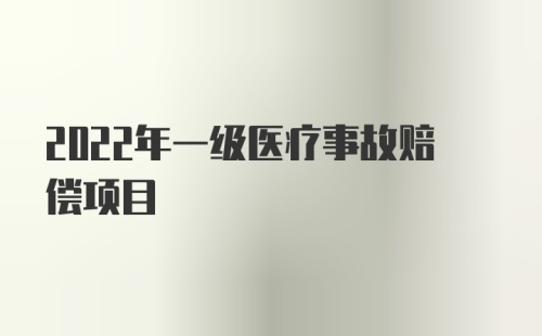 2022年一级医疗事故赔偿项目