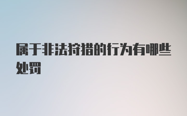 属于非法狩猎的行为有哪些处罚