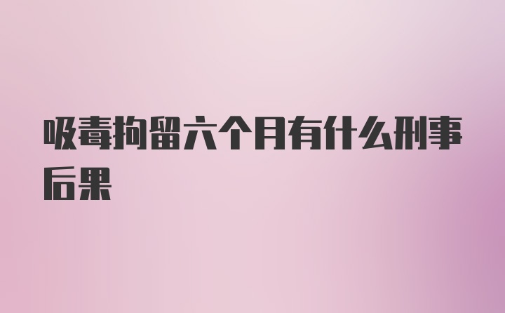 吸毒拘留六个月有什么刑事后果