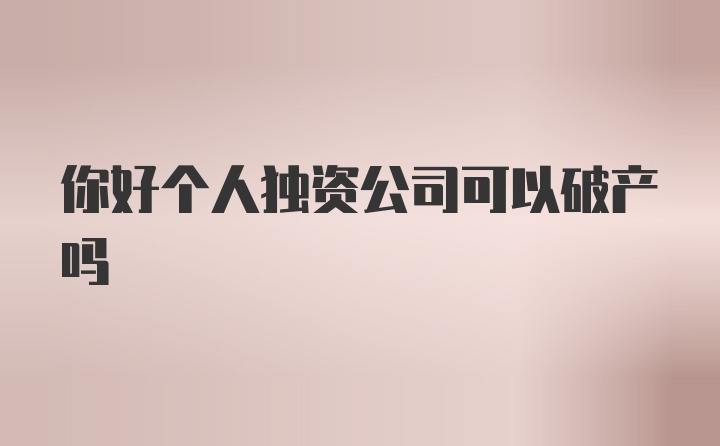 你好个人独资公司可以破产吗