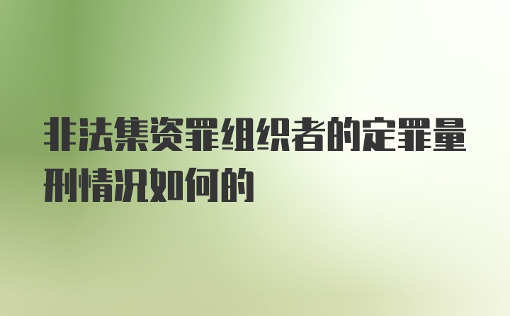 非法集资罪组织者的定罪量刑情况如何的