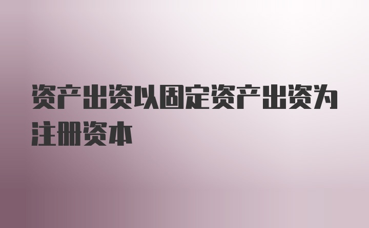 资产出资以固定资产出资为注册资本