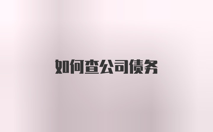 如何查公司债务